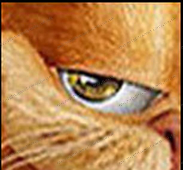 Garfield picture quiz clue