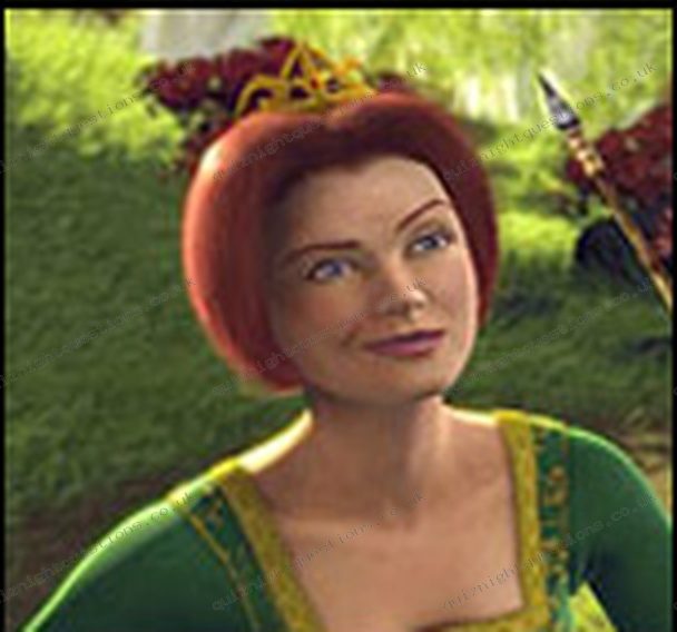Princess Fiona picture quiz clue