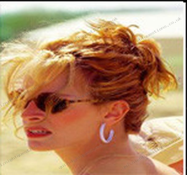 Erin Brockovich picture quiz clue
