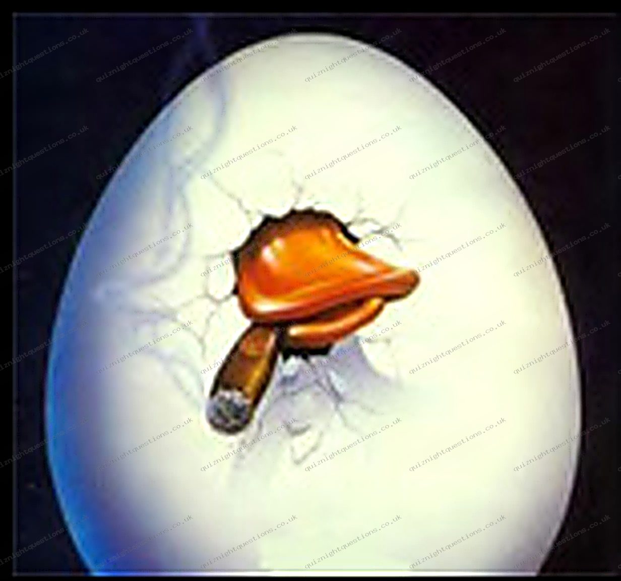 Howard The Duck picture quiz clue