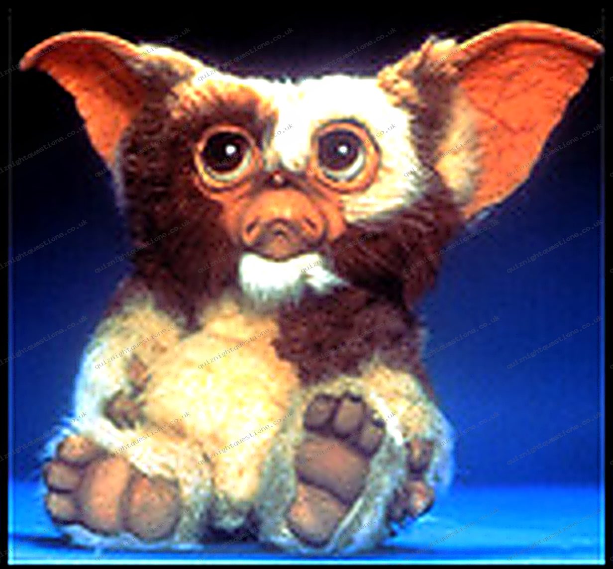 Gizmo picture quiz clue