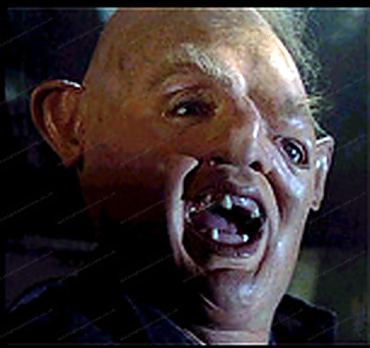 Sloth picture quiz clue