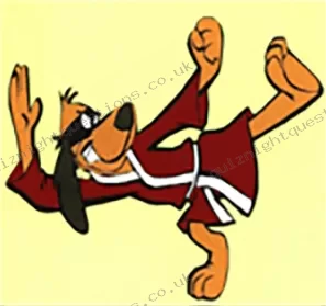 Hong Kong Phooey picture quiz clue